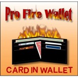 Fire Wallet (Billetera de Fuego)