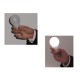Magic Light Bulb