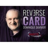 Reverse Card de Dominique Duvivier