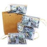 'Money Dream Bag' Le Sac en Papier Vide Plein de Dollars