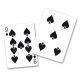 Cardicians Dream 5 de corazones y 9 de picas