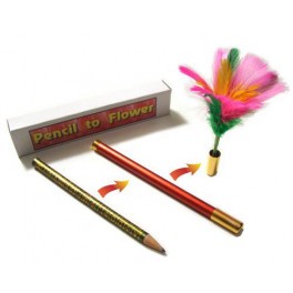 Pencil to Flower